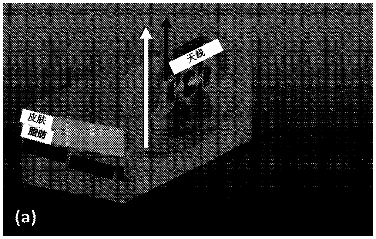 Methods and systems for electromagnetic near-field coherent sensing