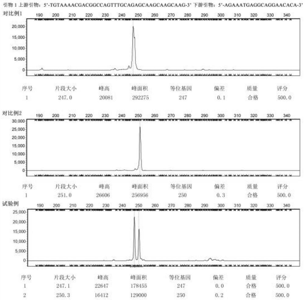 DNA bar code for screening total polyphenol content index of champignon luteo-virens