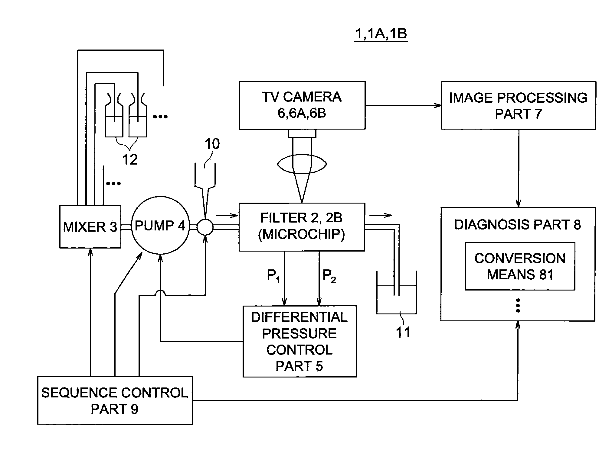 Blood fluidity measurement system and blood fluidity measurement method