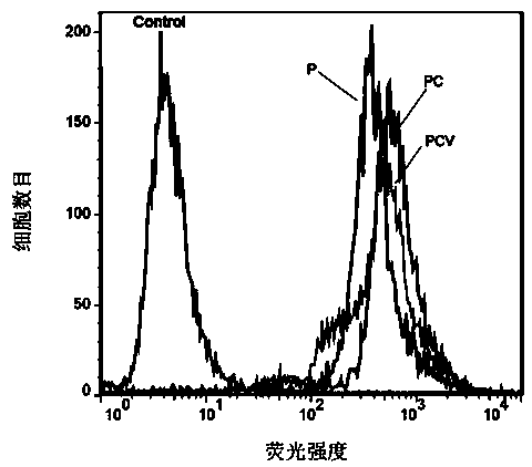Polylactic acid-hydroxyacetic acid copolymer nano-drug carrier as well as preparation method and application thereof