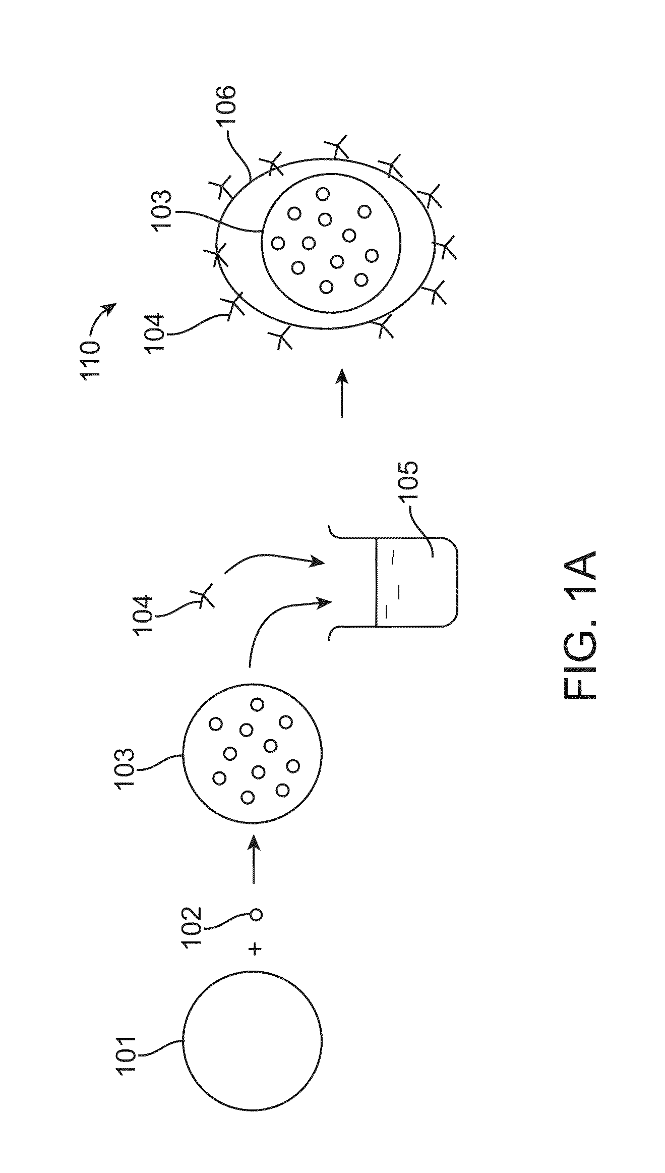 Core-shell particle formulation for delivering multiple therapeutic agents
