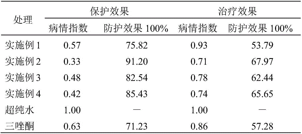Traditional Chinese medicine composition for preventing and curing plant powdery mildew and preparation method thereof