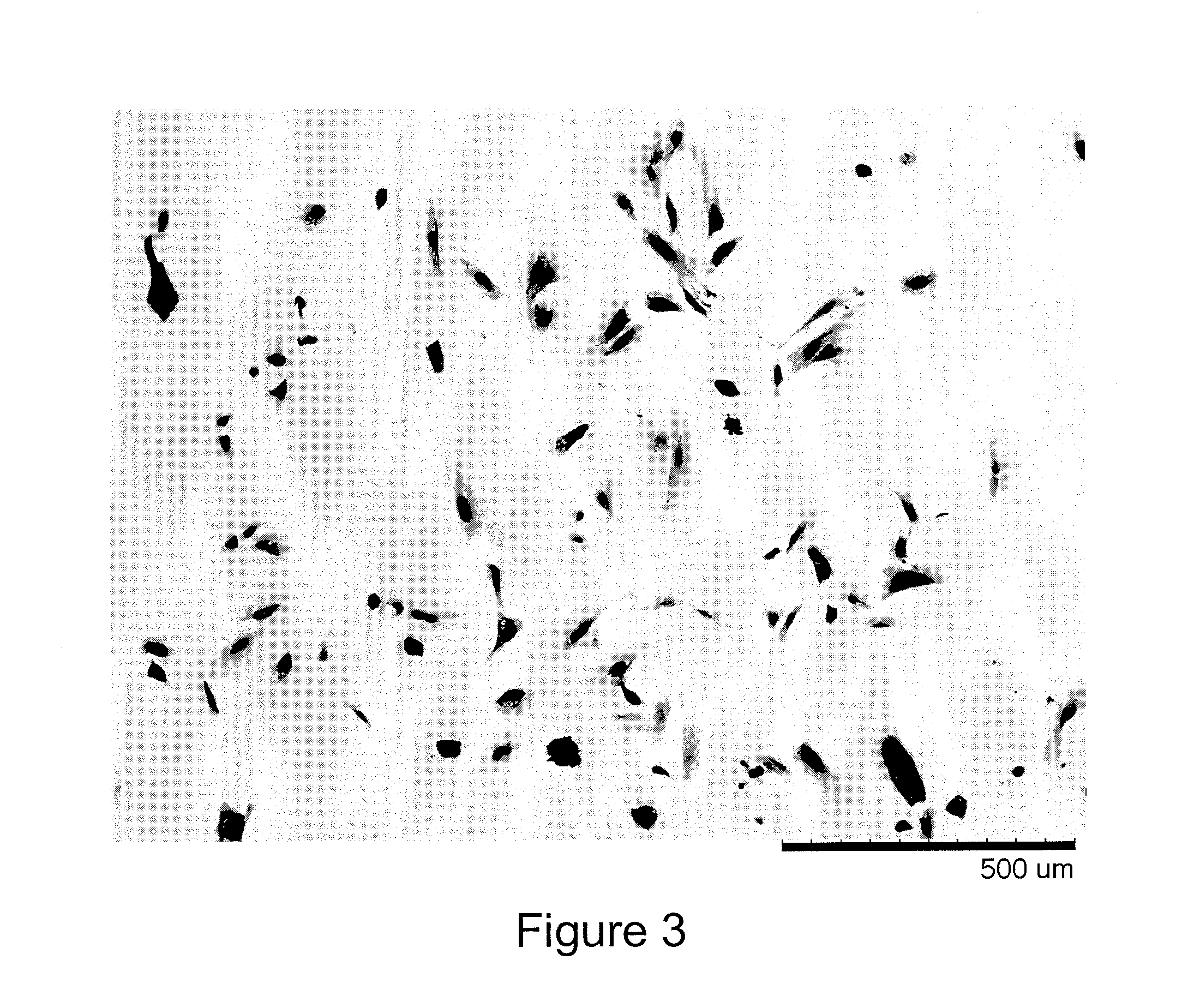 Methods for improving the bioactivity characteristics of a surface and objects with surfaces improved thereby
