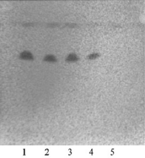 Dampness-resolving toxin-vanquishing composition identification method