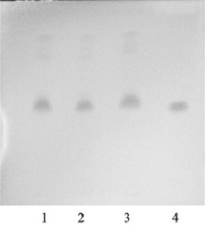 Dampness-resolving toxin-vanquishing composition identification method