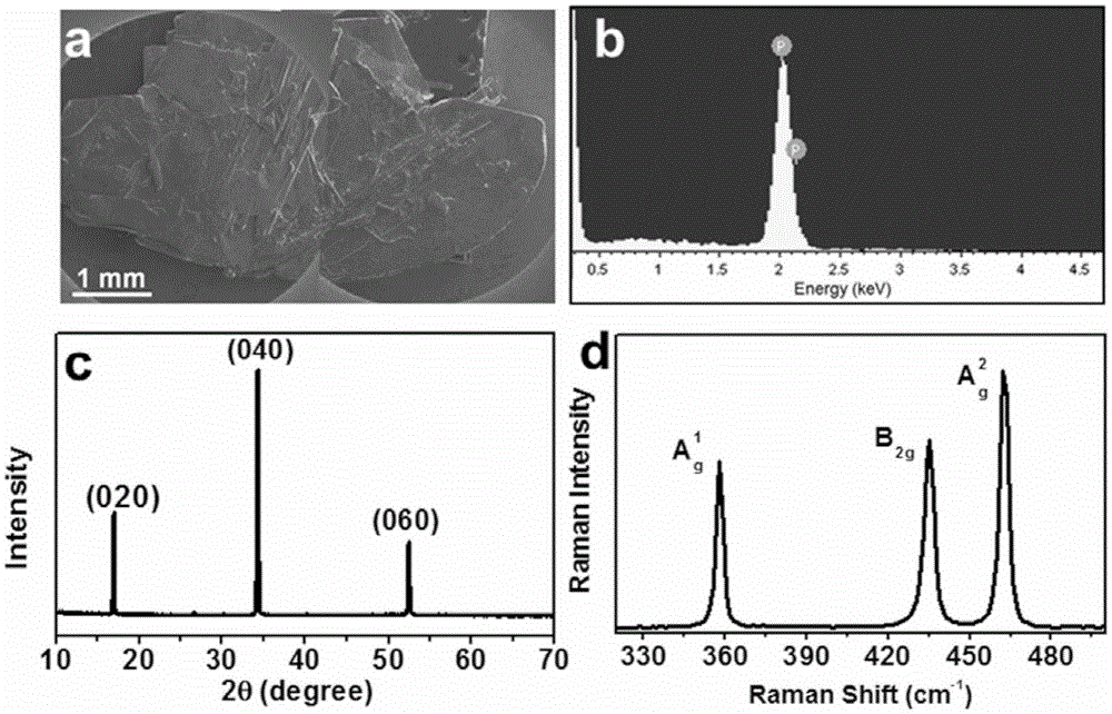 Flexible lithium ion battery black phosphorus nanosheet-graphene composite film anode, and preparation thereof
