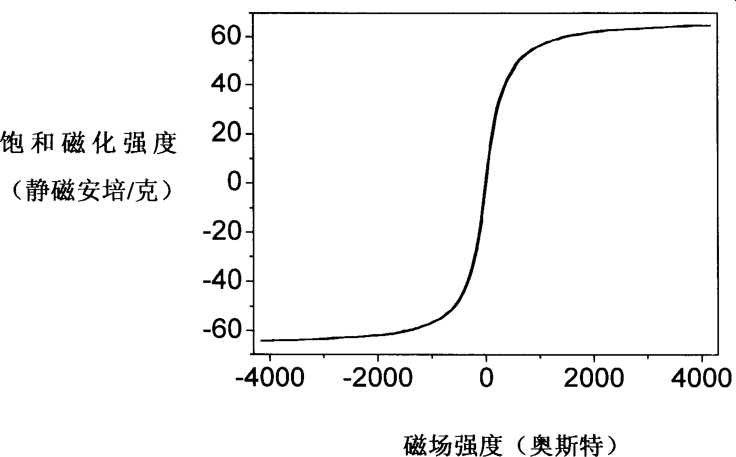 Water soluble magnetic nanometer crystal with high dissolvability and method of producing the same