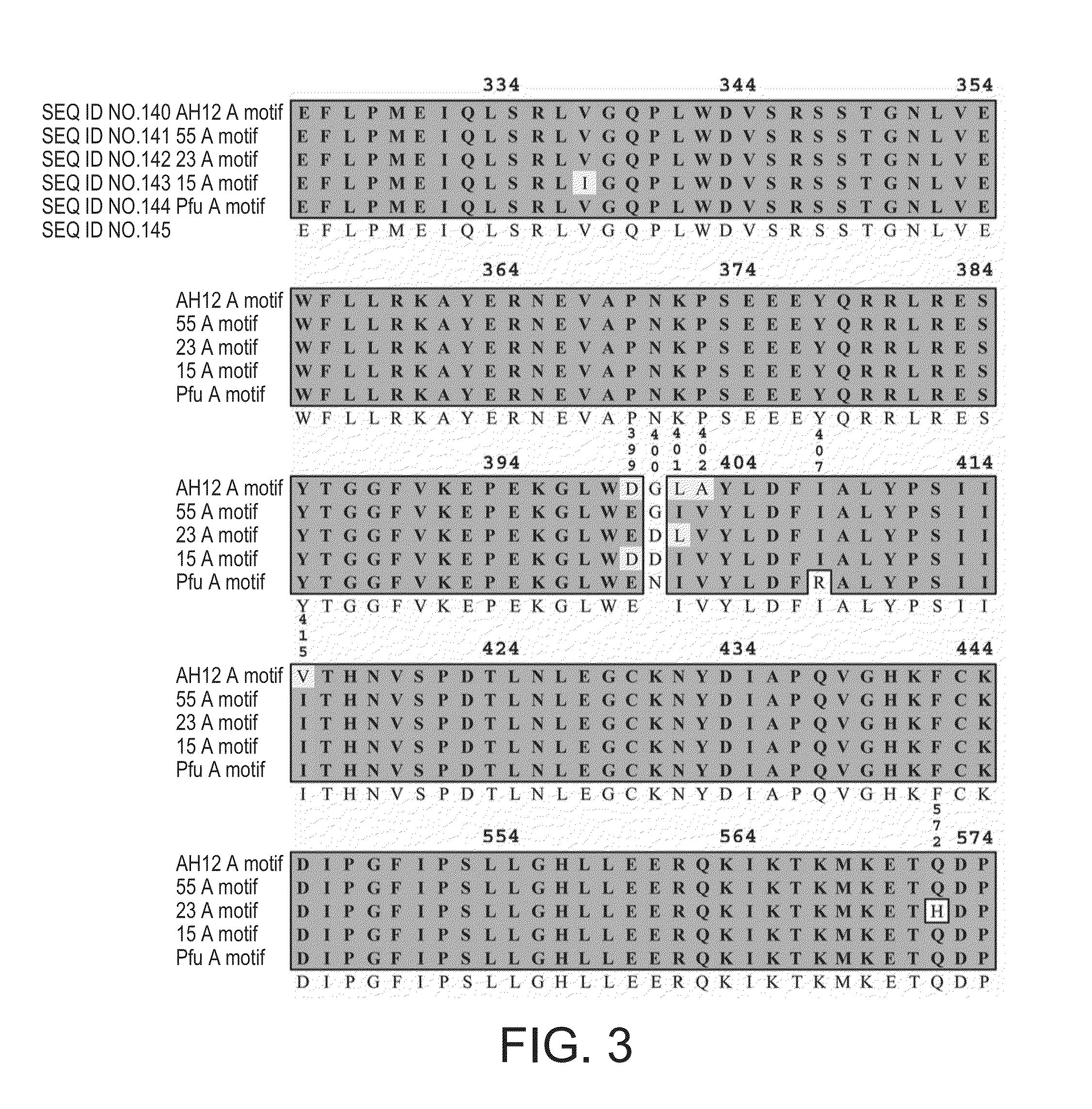 Polymerase