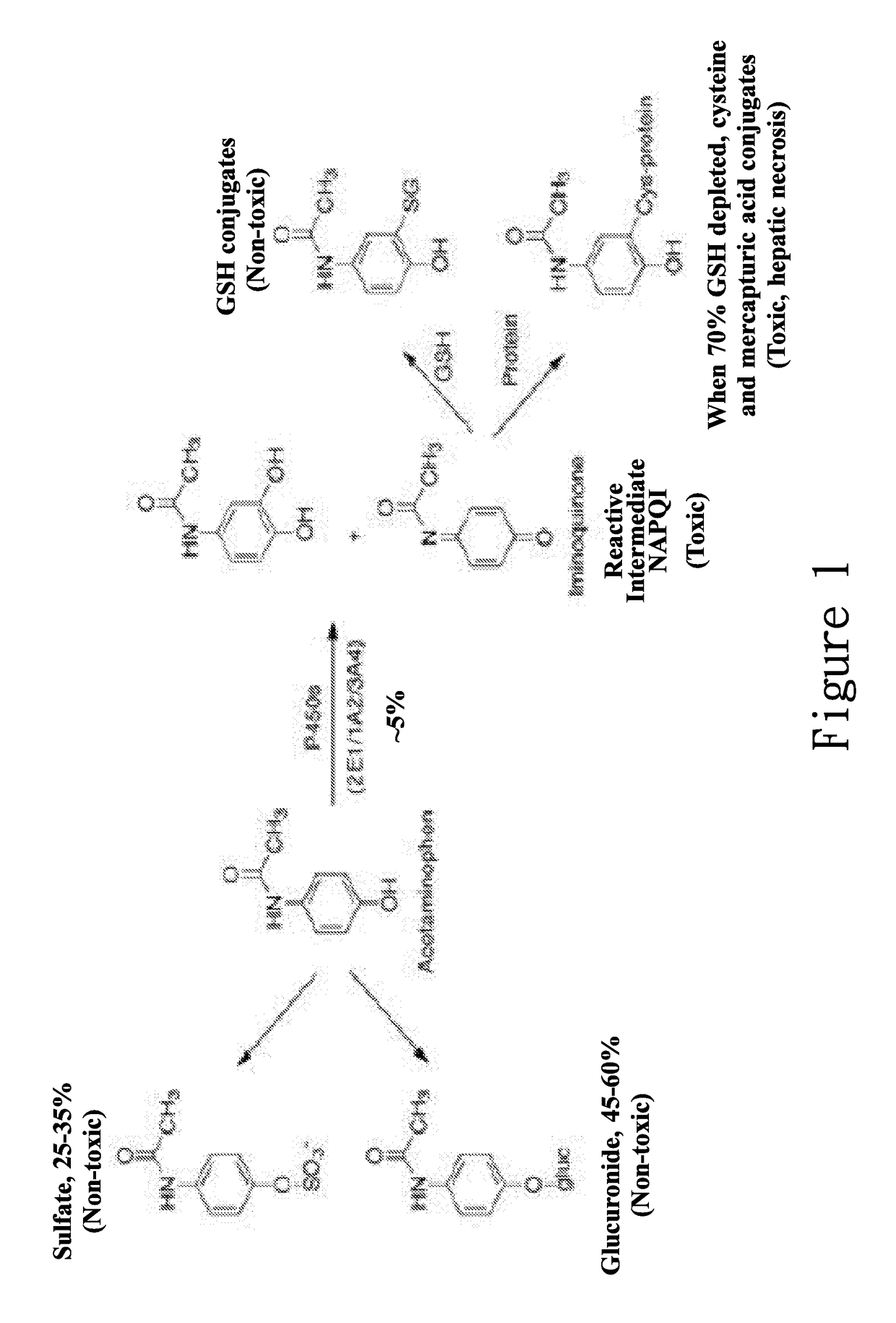 New hepatotoxicity-free pharmaceutical composition containing acetaminophen drugs