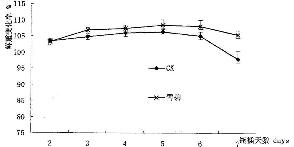 Cut lily freshness maintaining method and application thereof