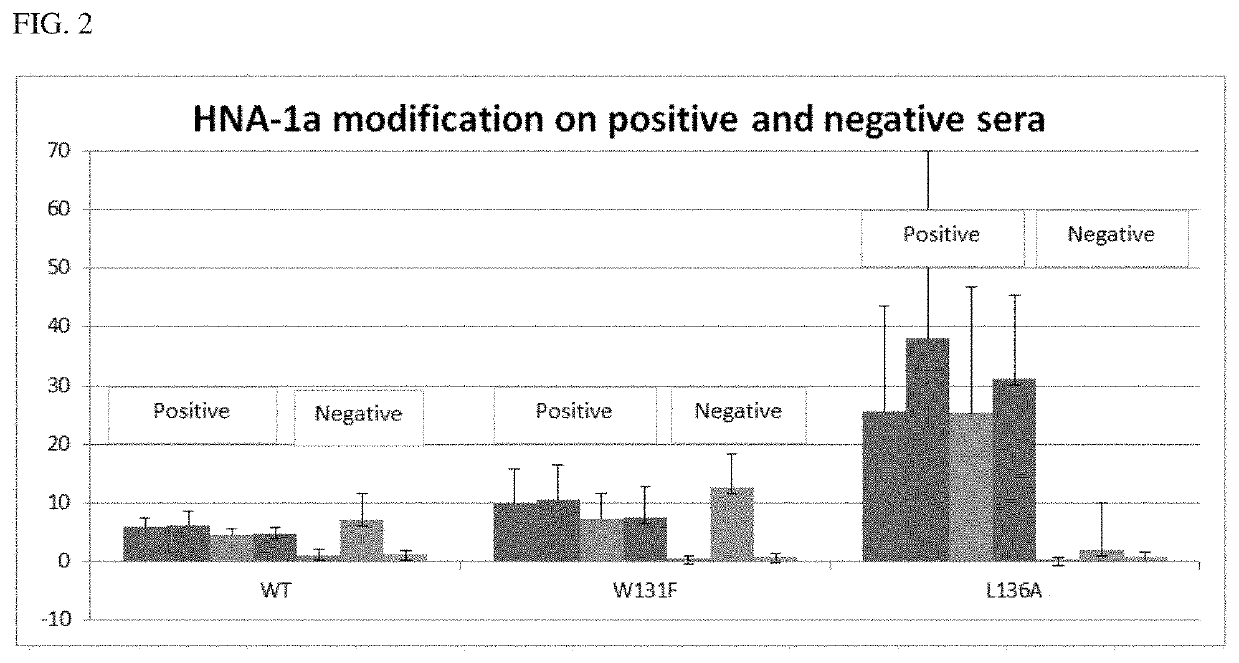 Modified Fc Gamma Receptor Type III (FcgammaIII, HNA-1) Polypeptides and The Uses Thereof