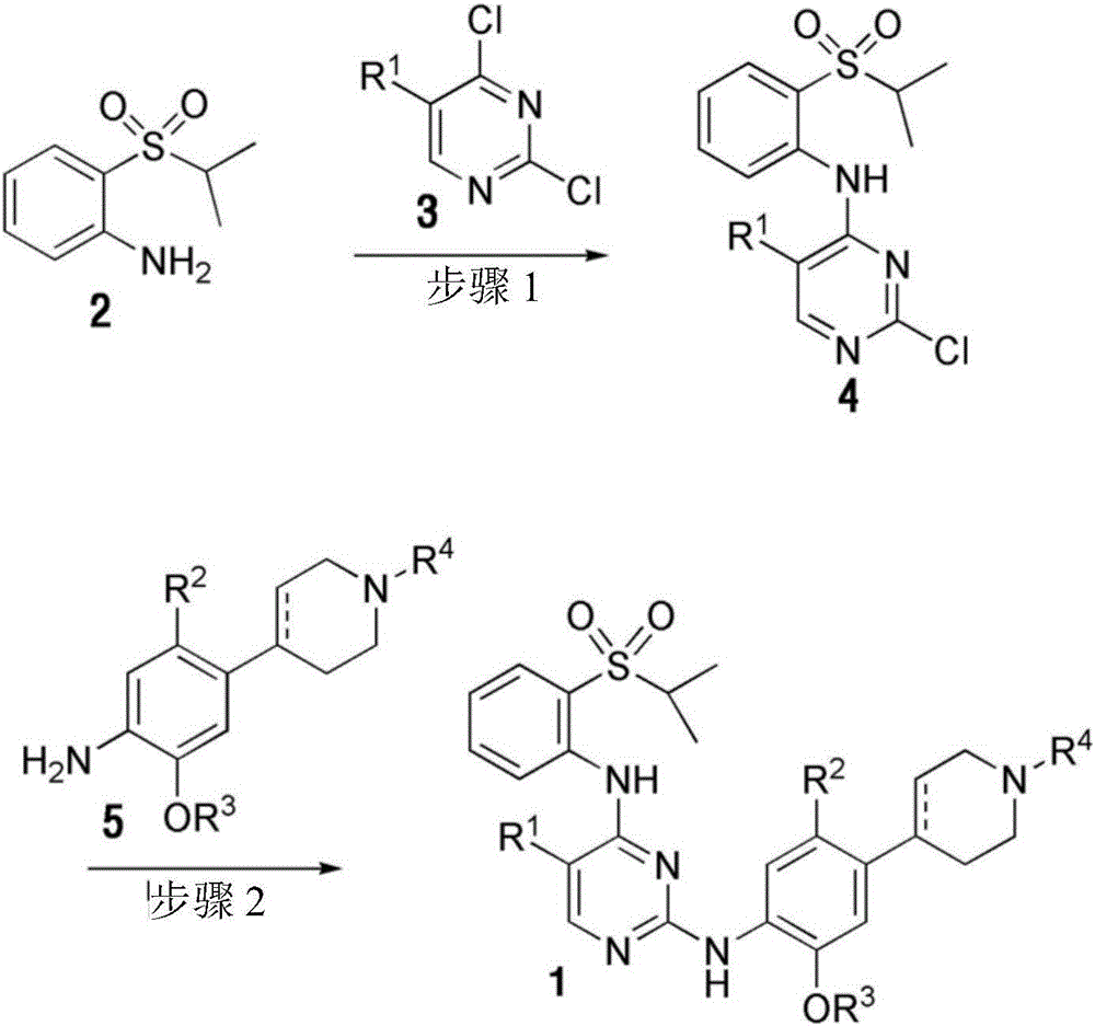 Pyrimidine-2,4-diamine derivative and pharmaceutical anticancer composition containing same as active ingredient