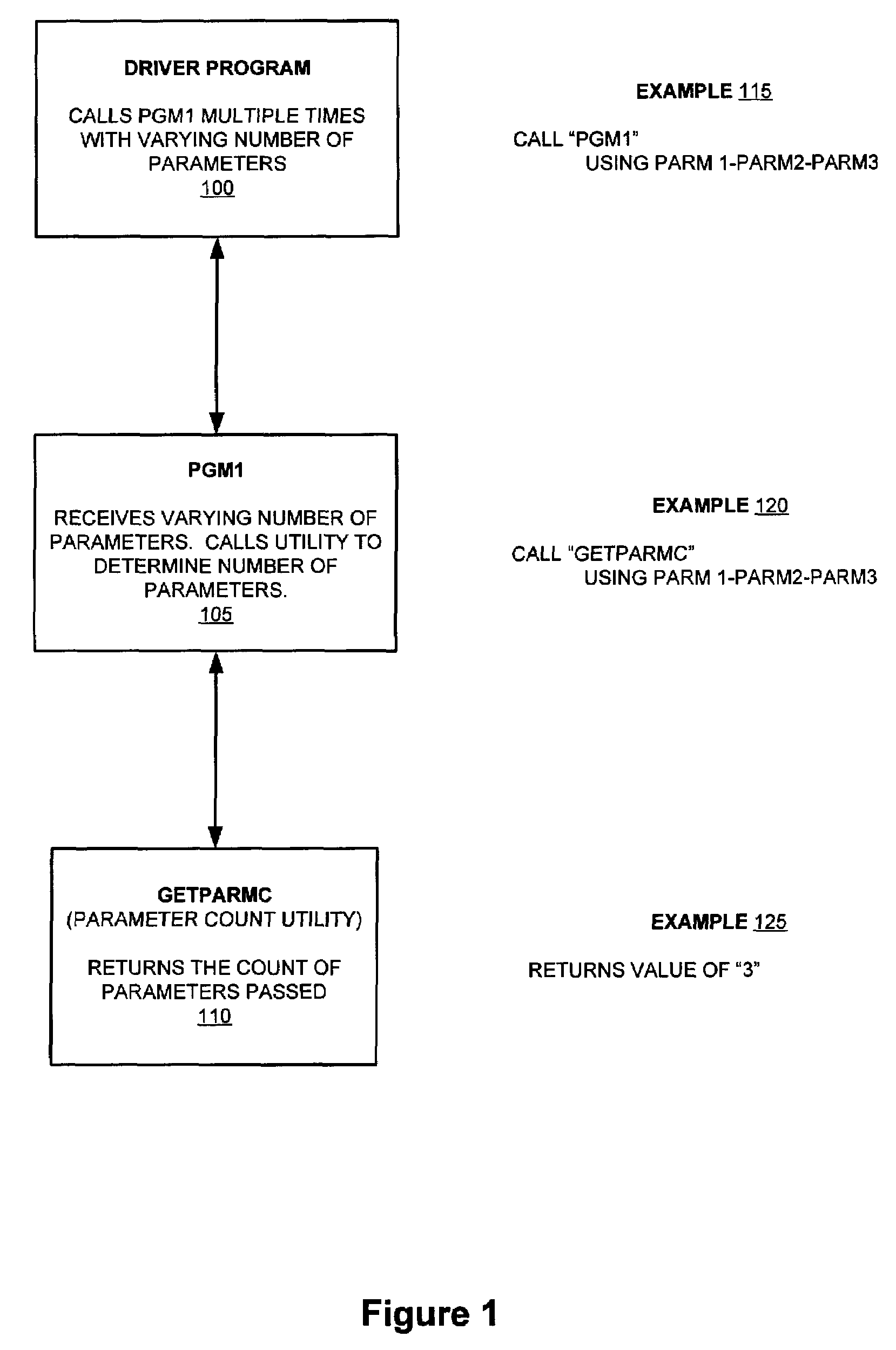 System and method for runtime detection of program parameters