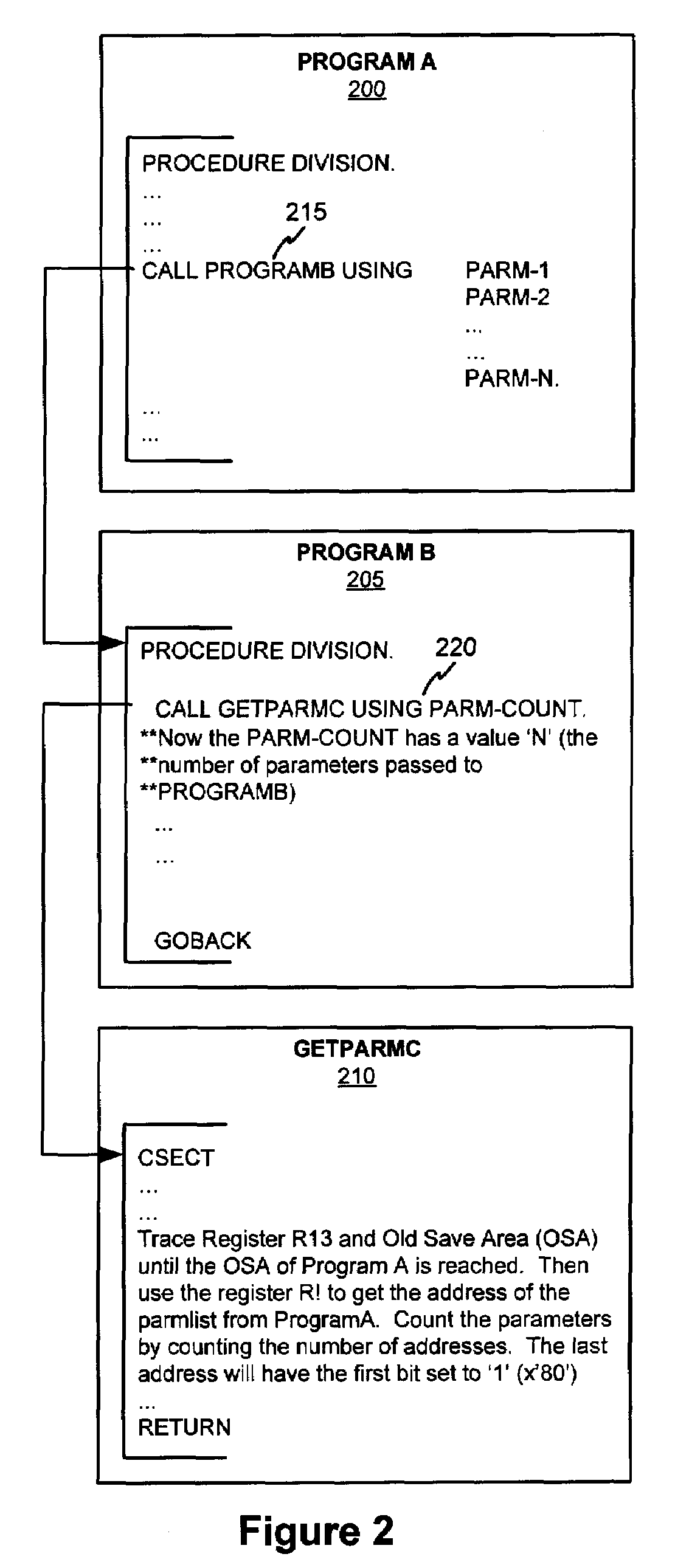 System and method for runtime detection of program parameters