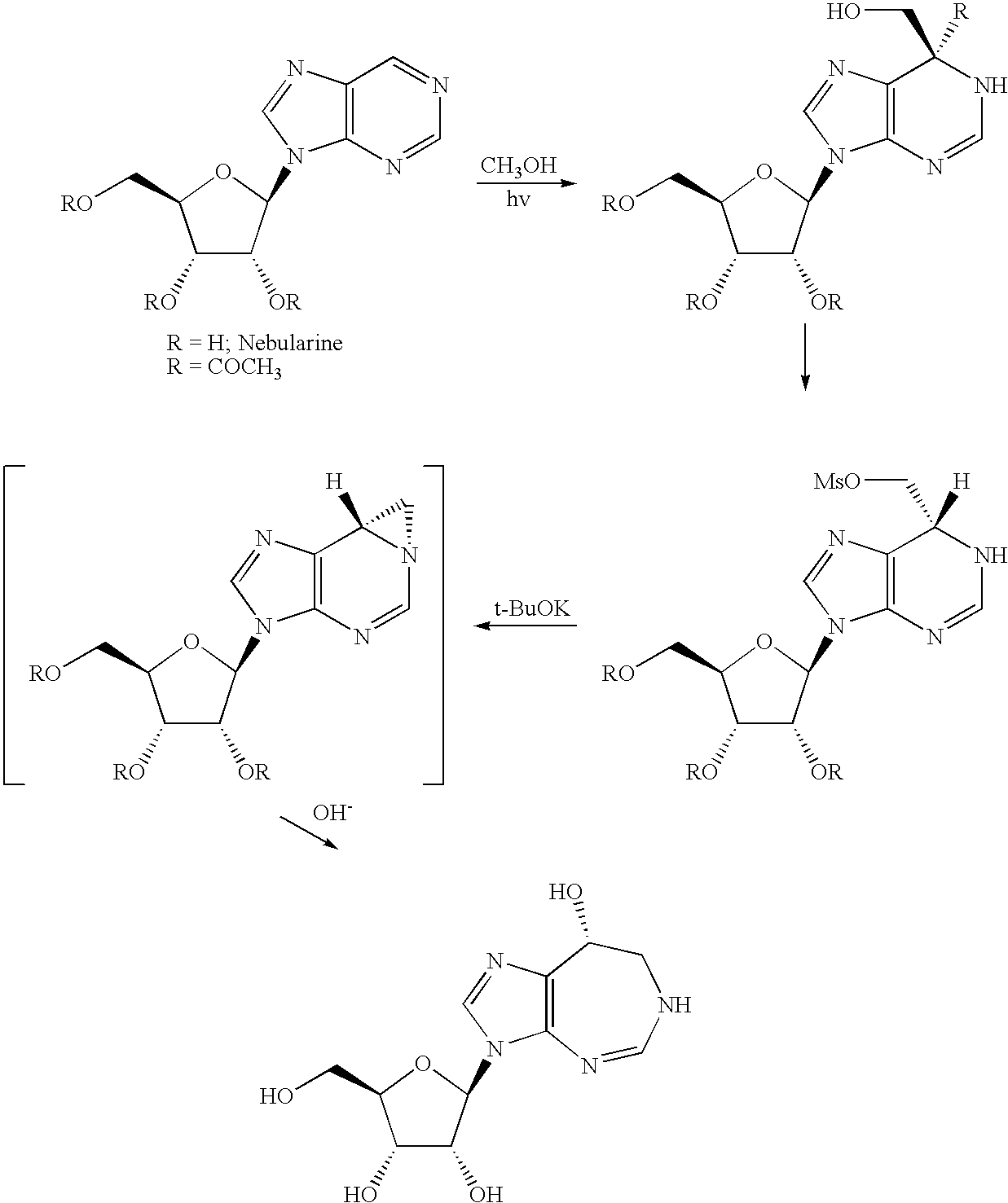 Process for the production of pentostatin aglycone and pentostatin