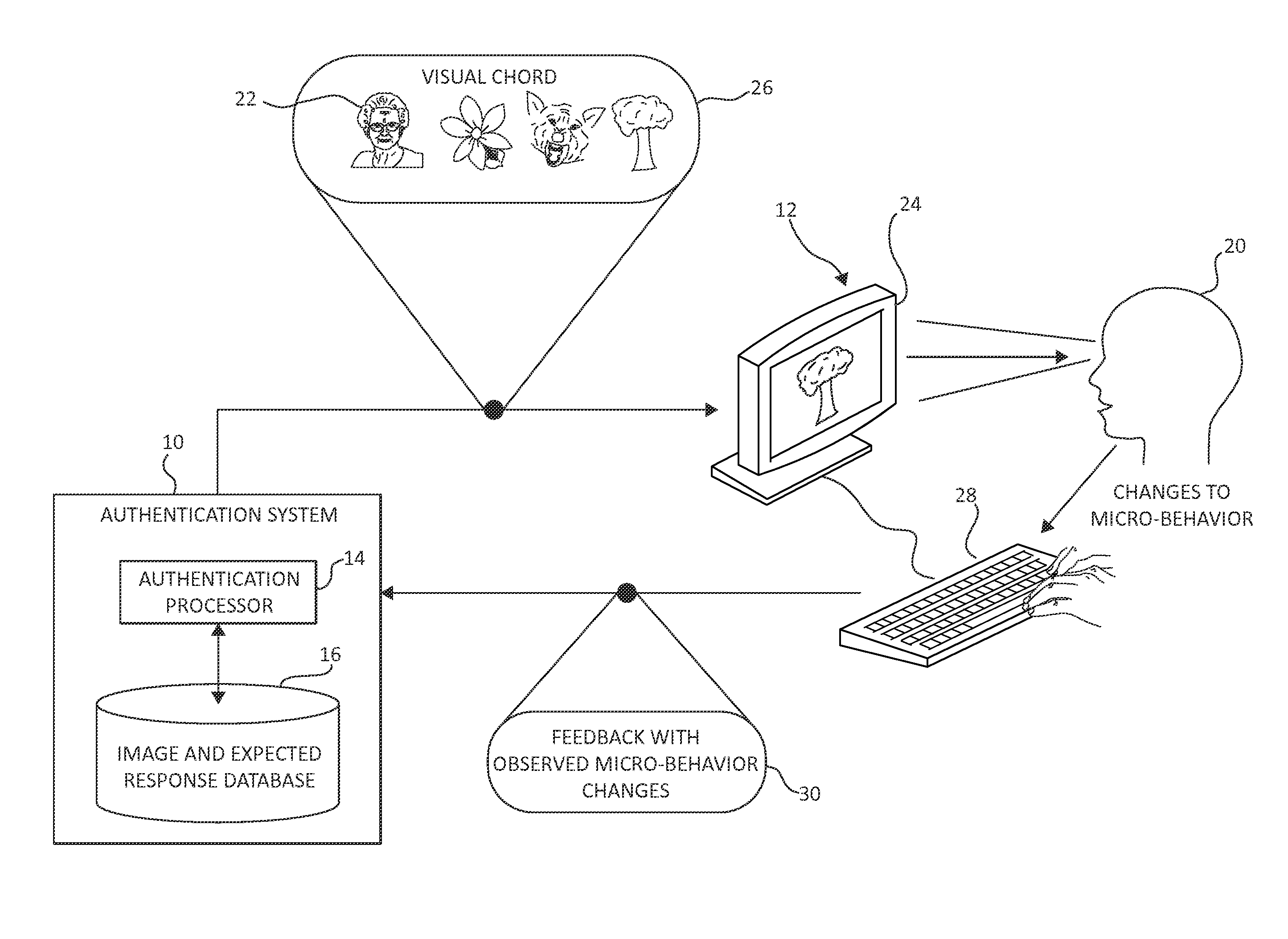 Systems and methods for performing security authentication based on responses to observed stimuli