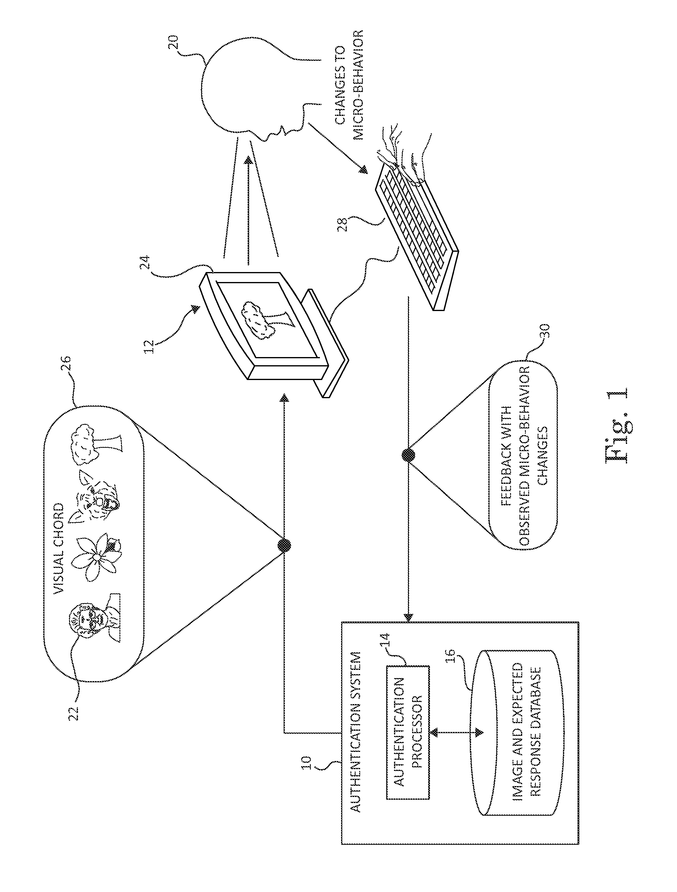 Systems and methods for performing security authentication based on responses to observed stimuli