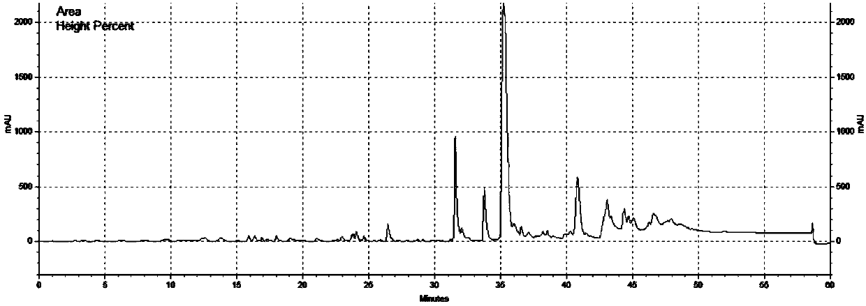 Phylum porifera symbiosis streptomycete, method for producing staurosporine by fermenting phylum porifera symbiosis streptomycete and application of phylum porifera symbiosis streptomycete