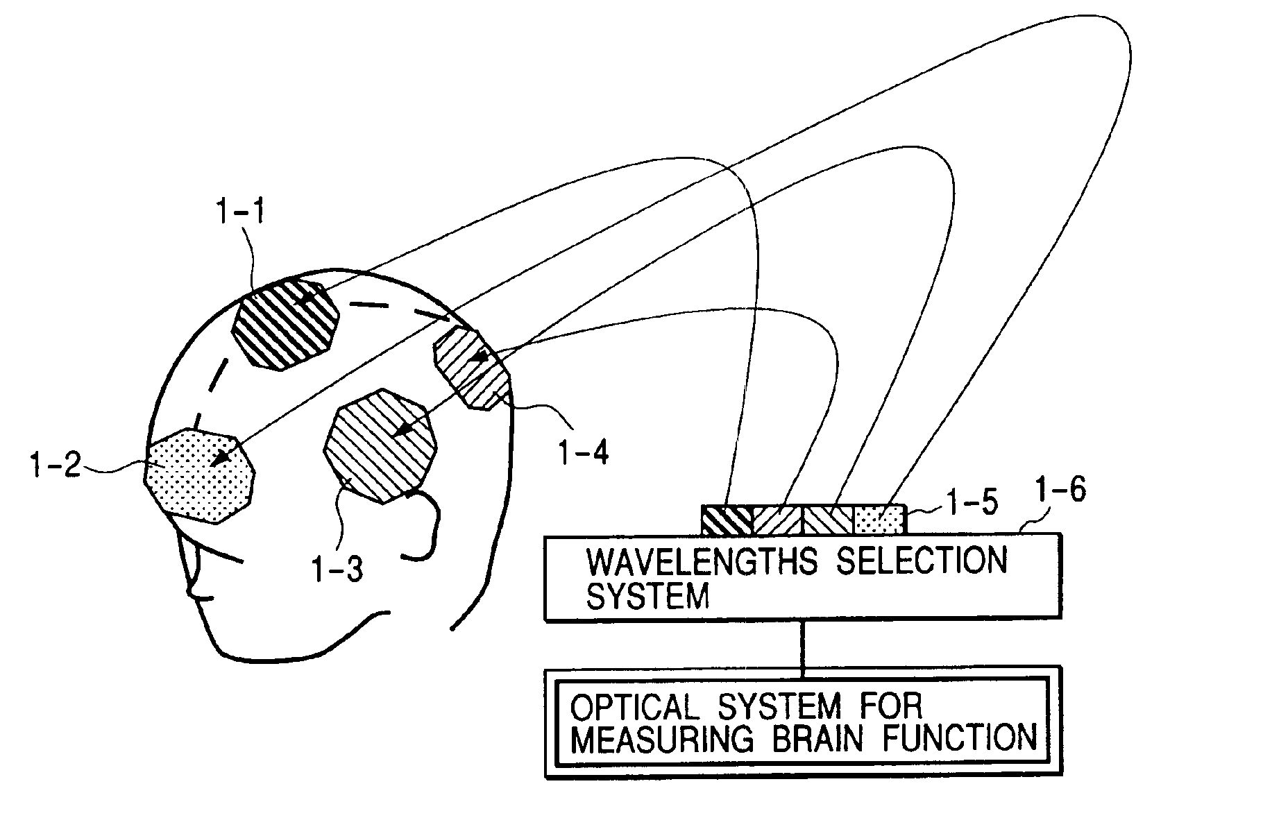 Optical system for measuring metabolism in a body