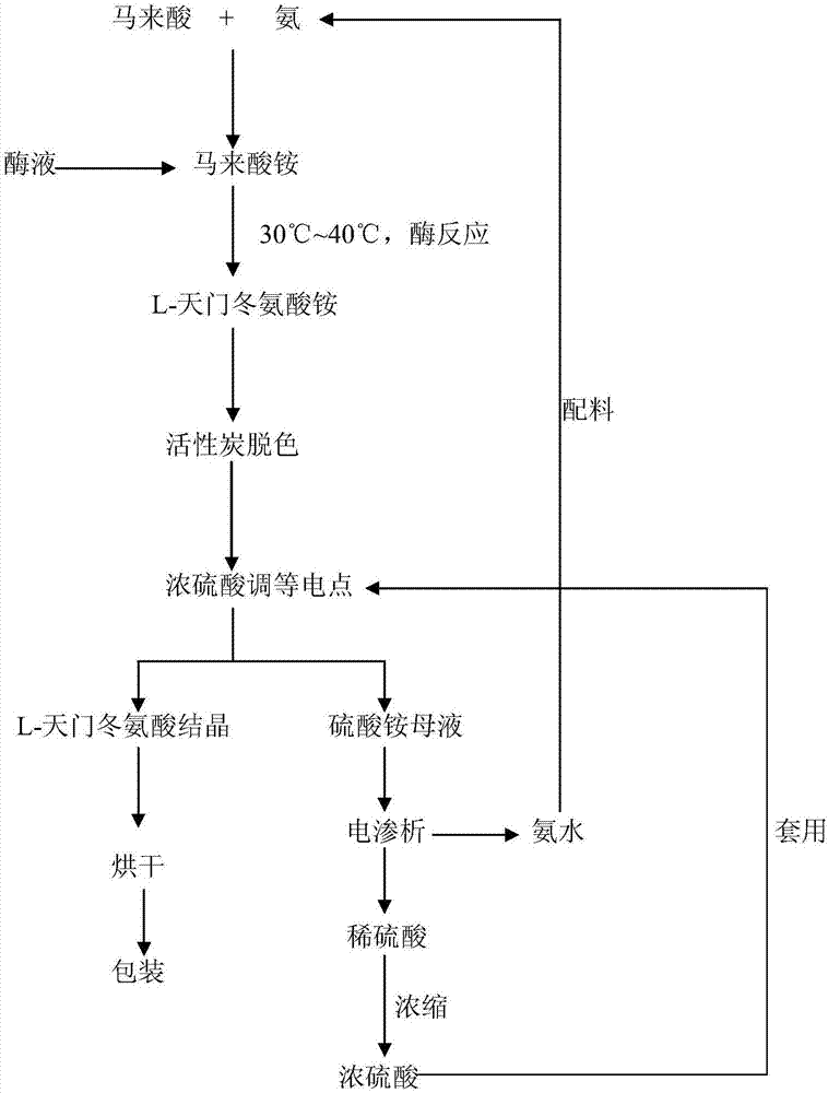 Green production method of L-aspartic acid