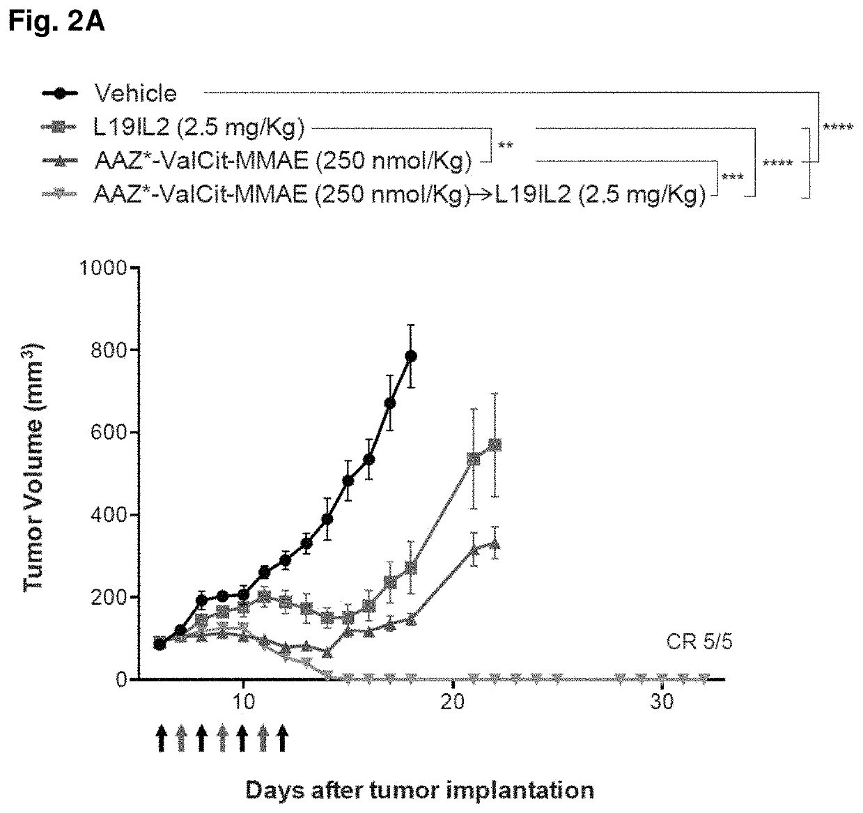 Immunocytokine combination therapy