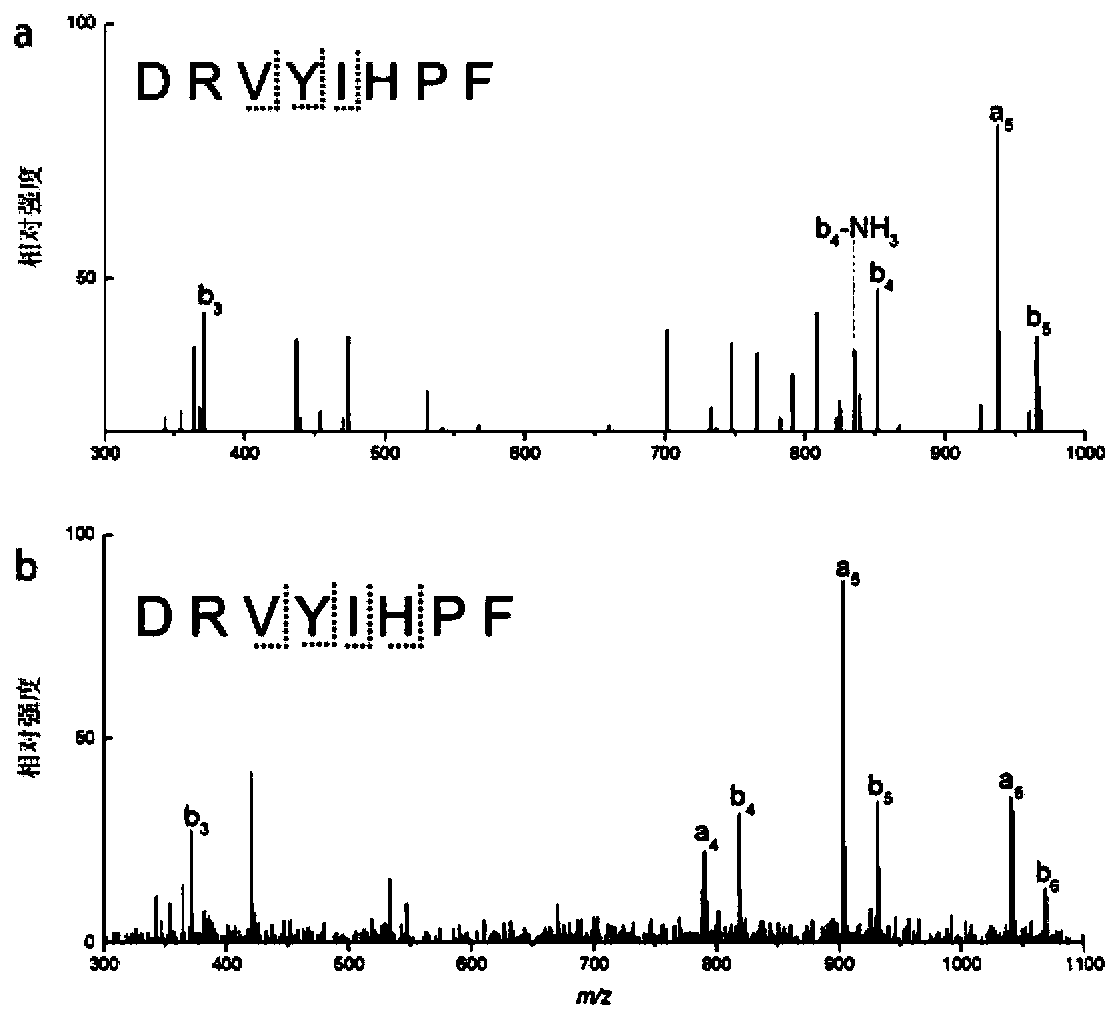 Method for constructing protein three-dimensional structure based on specific cross-linked tyrosine