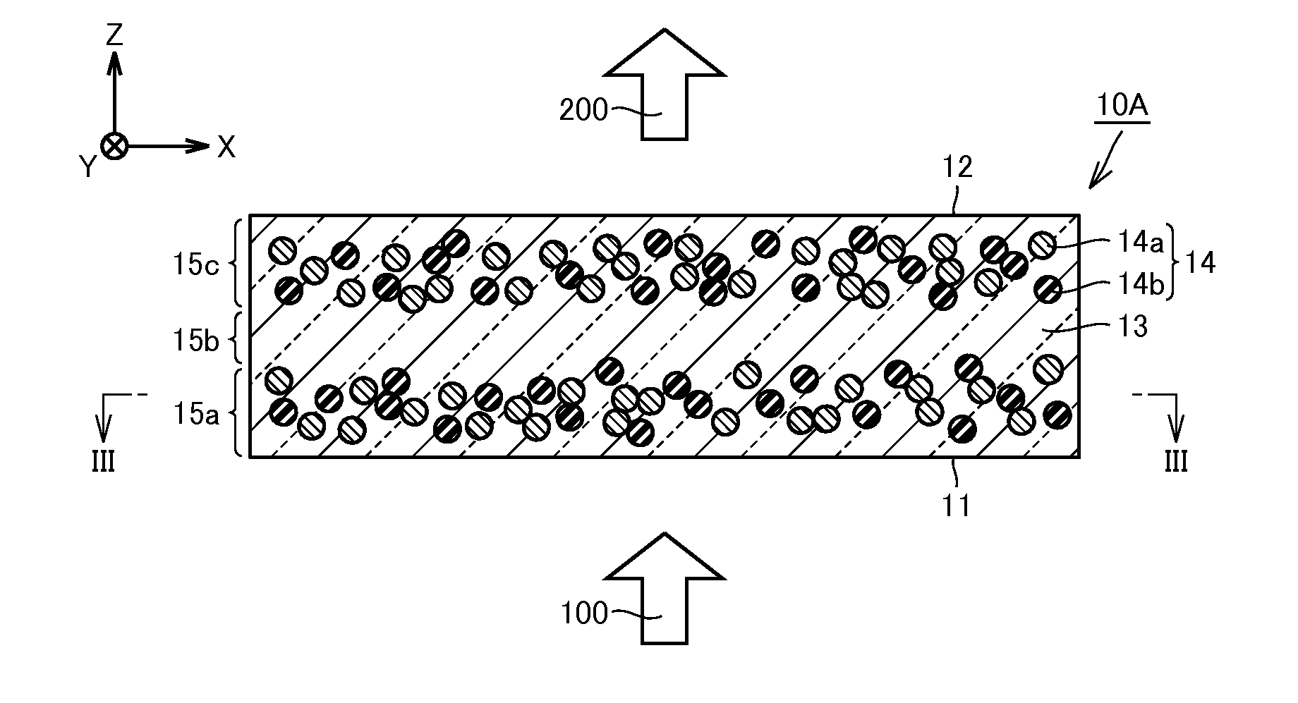Wavelength conversion member, light emitting device and image display device, and method for manufacturing wavelength conversion member