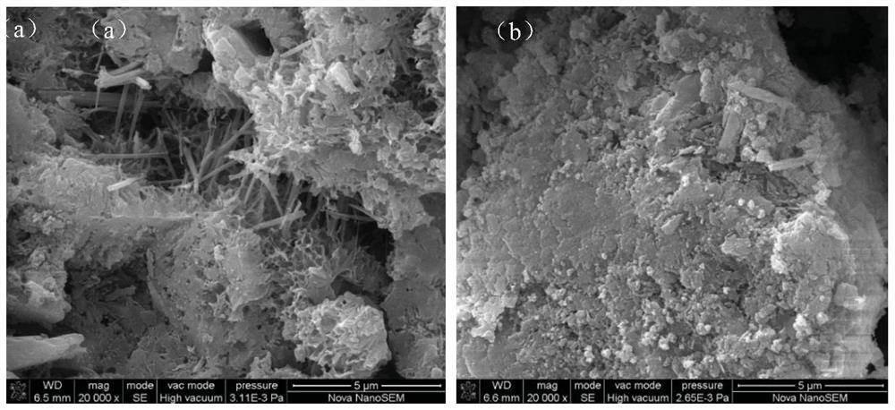 Preparation method of low-rank coal-based superplasticizer