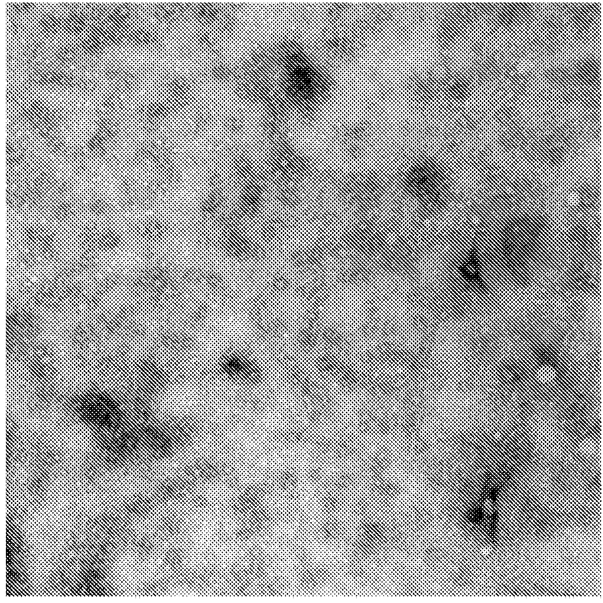 Chrysophaentin analogs that inhibit FtsZ protein