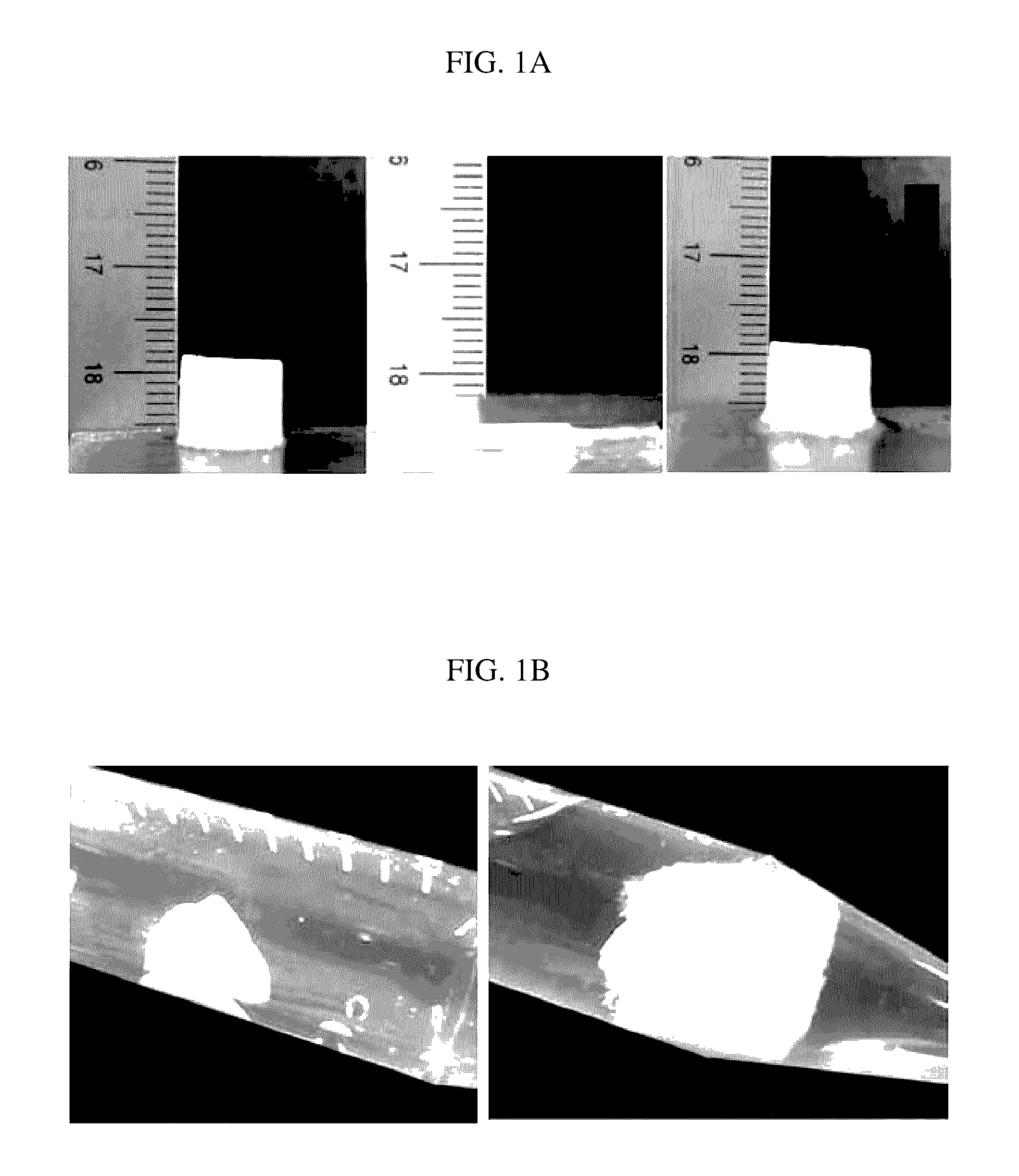Hybrid hollow microcapsule, scaffold for soft tissue including same, and methods of preparing same