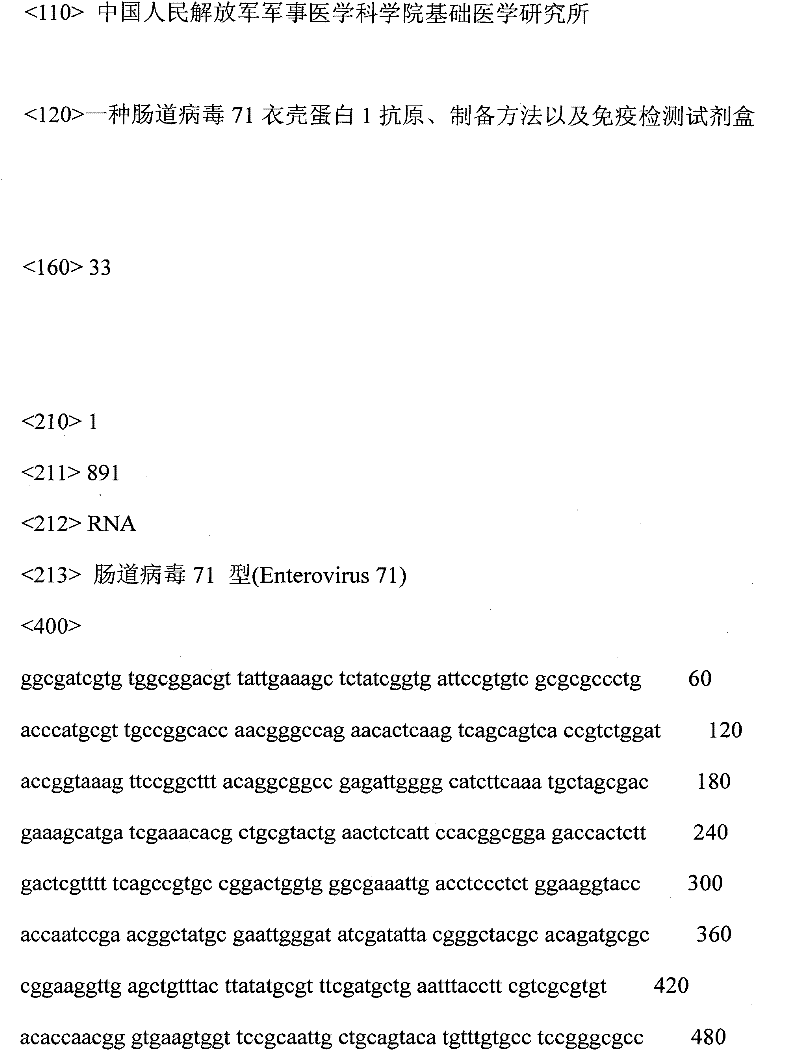 Enterovirus 71 capsid protein 1 antigen, preparation method and immunodetection reagent