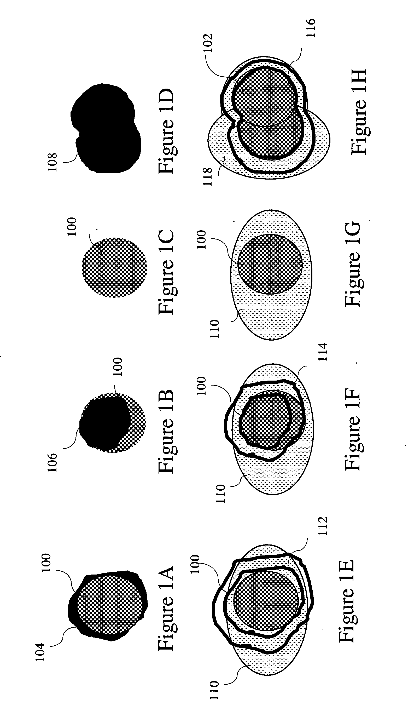 Method for robust analysis of biological activity in microscopy images