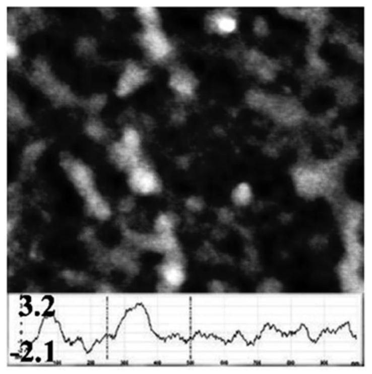 High-potential hydrophobic polypeptide monolayer film as well as preparation method and application thereof