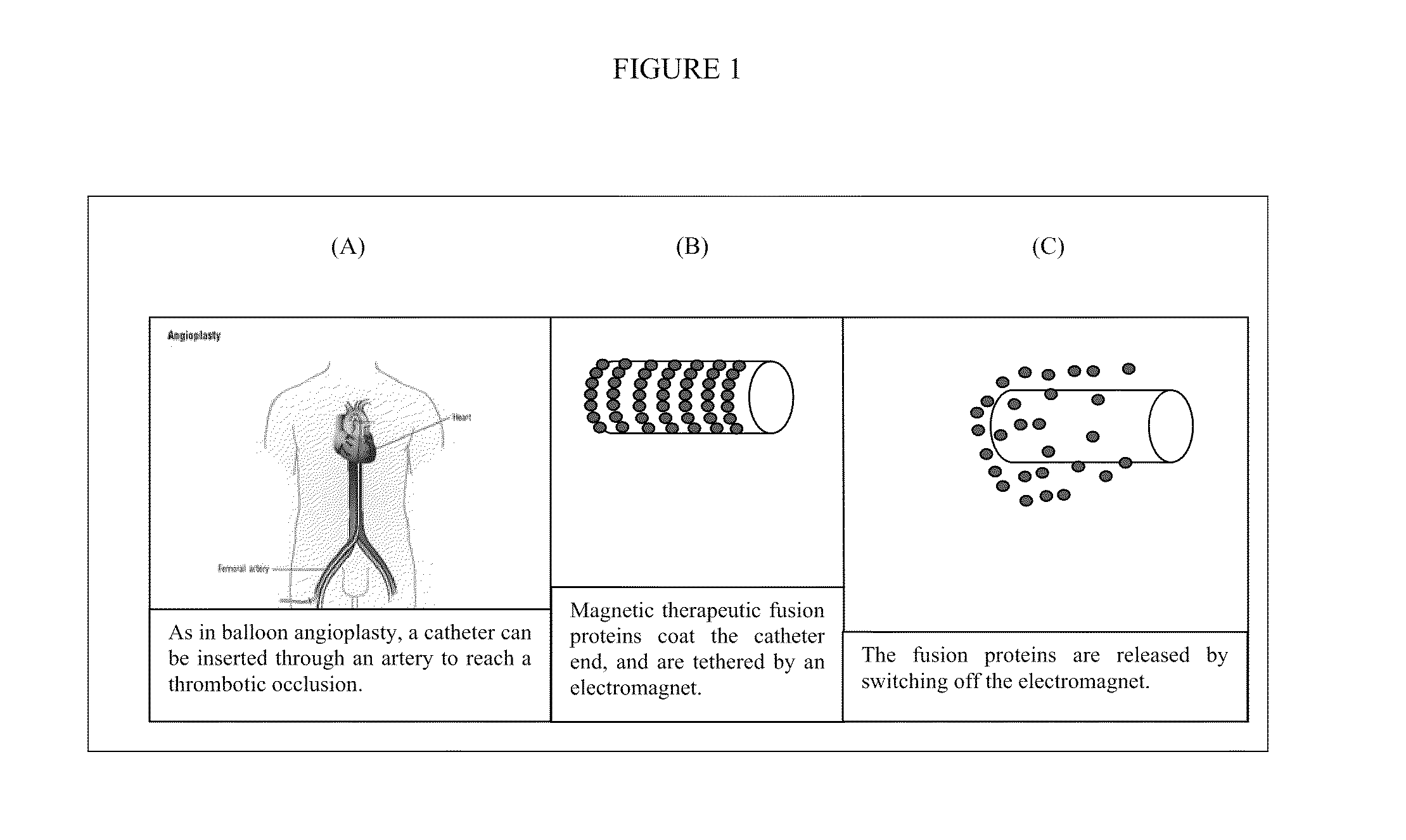 Vector for use in medicine