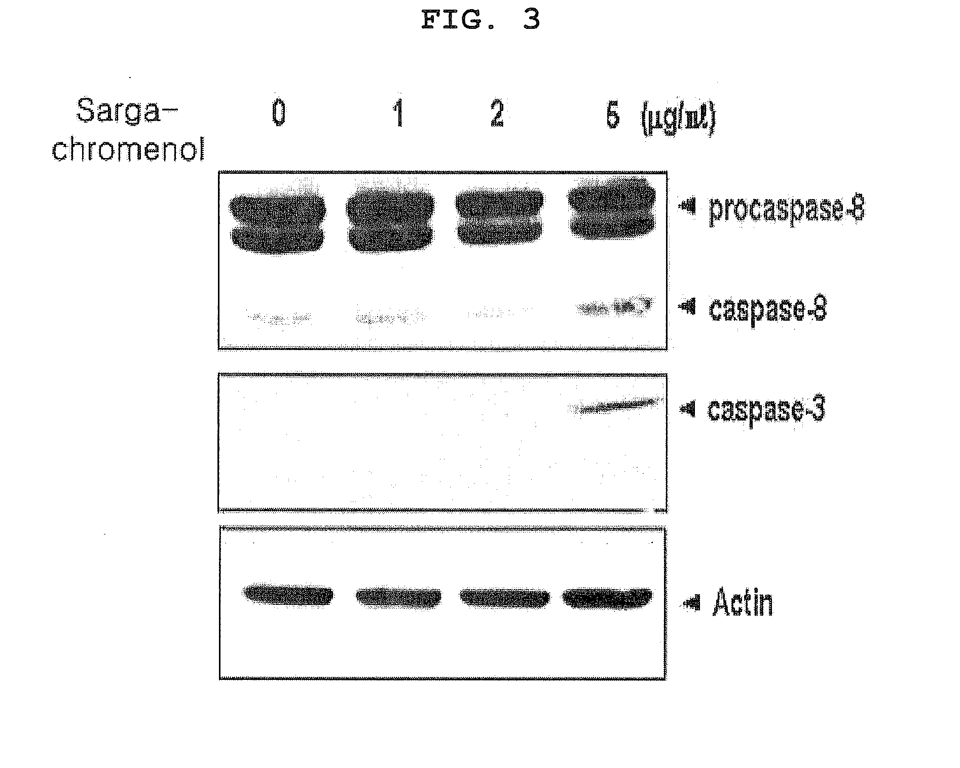 Novel use of sargachromenol