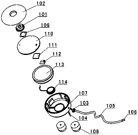 Ear-installed livestock body temperature compound detection device