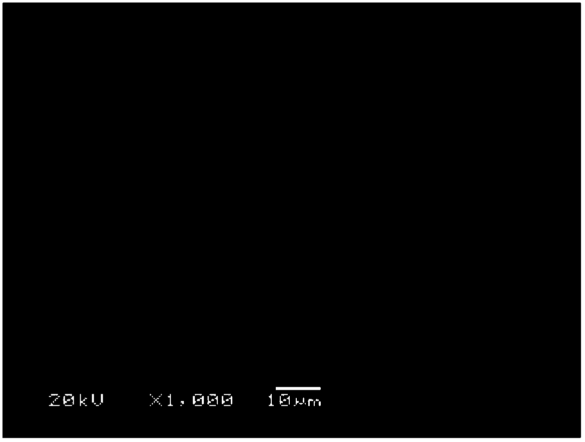 Magnesium alloy microarc oxidation-electrophoresis composite coating and preparation method thereof