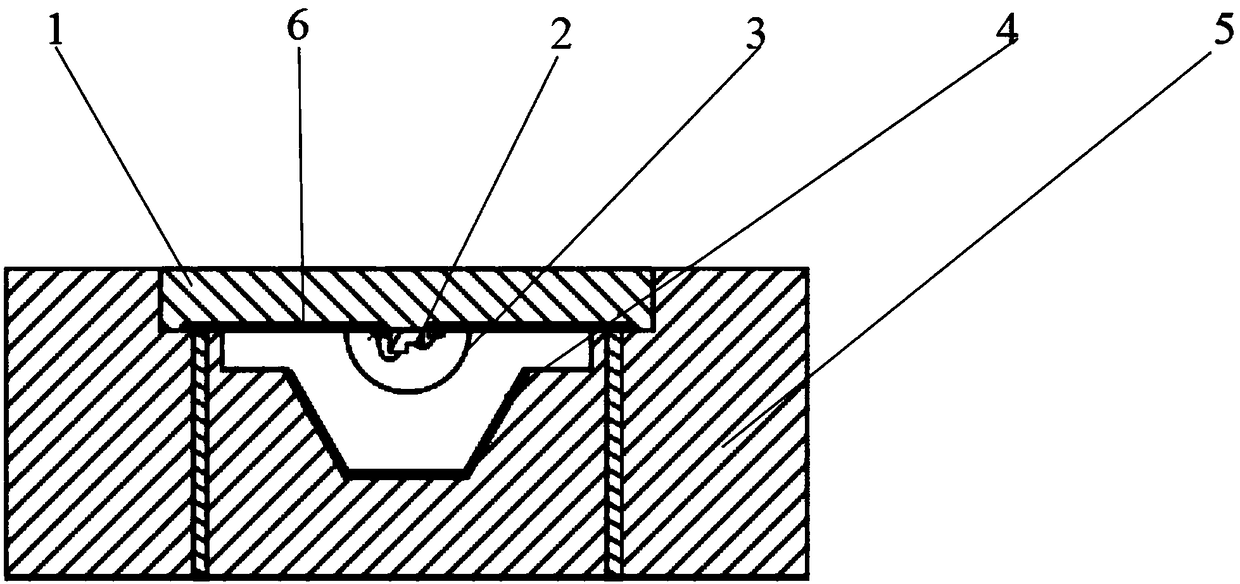 LED quantum dot light emitting device and packaging method thereof