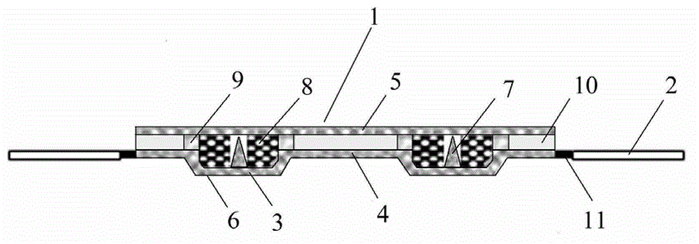 A device for allergy testing and its preparation method and application