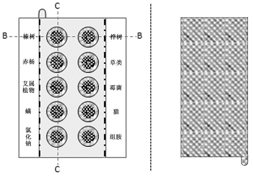 A device for allergy testing and its preparation method and application