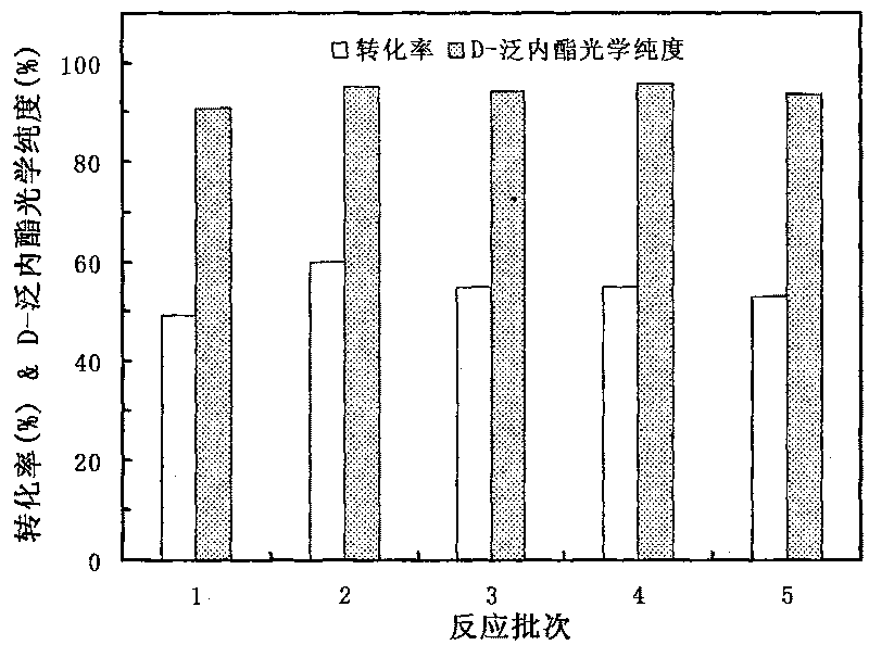 Agrobacterium strain and method for preparing left-lateral lactone compounds thereby