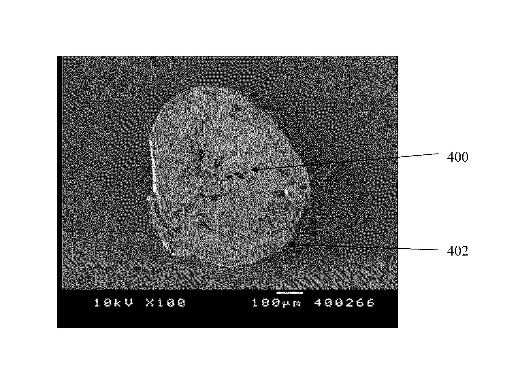 Hydrophilic matrix beadlet compositions with enhanced bioavailability
