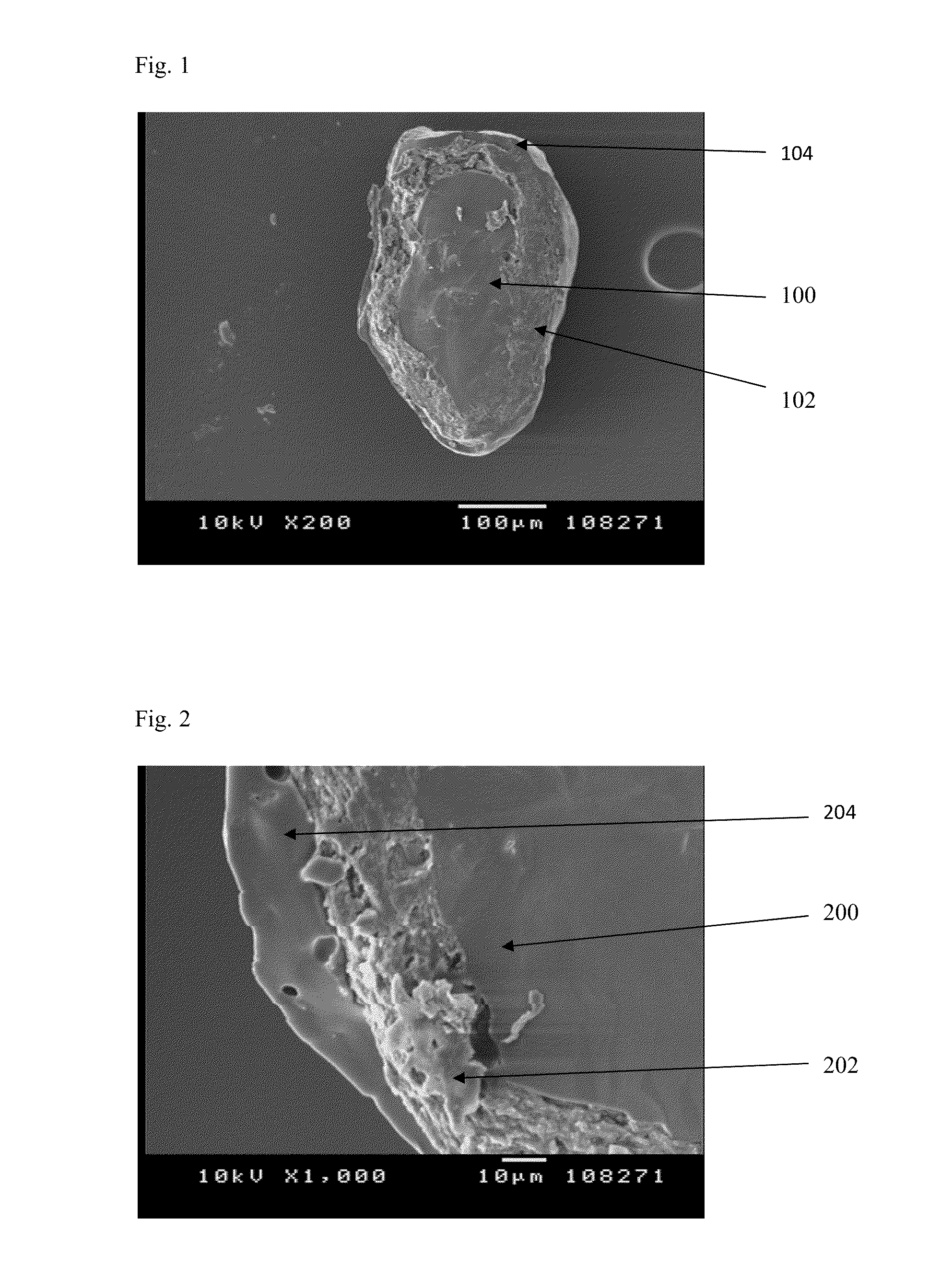 Hydrophilic matrix beadlet compositions with enhanced bioavailability