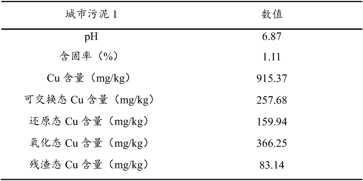 Technology for removing heavy metal Cu in municipal sludge