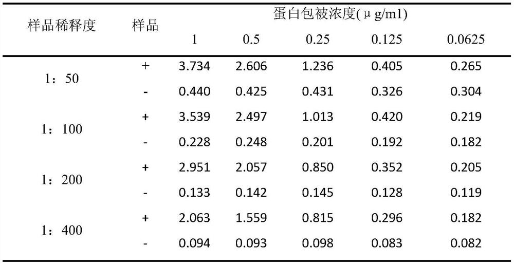 A kind of African swine fever virus recombinant antigen and its application