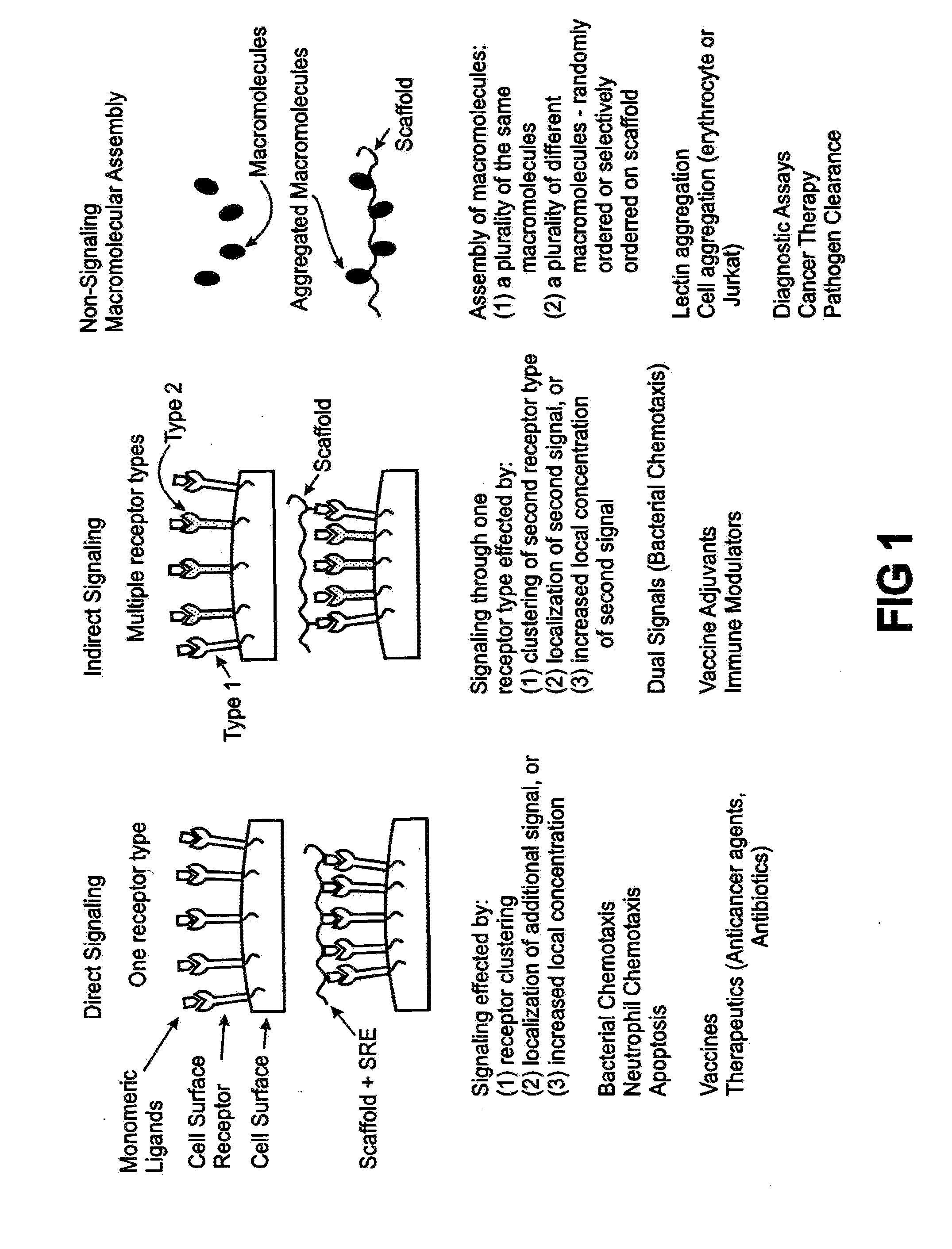Methods and Reagents for Regulation of Cellular Responses in Biological Systems