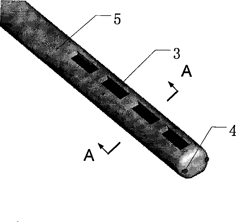Implantation type bioelectrode and method for producing the same