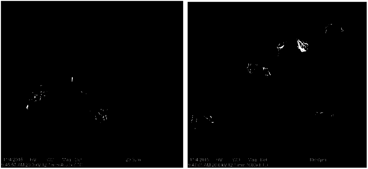 Preparation method of geniposide molecularly imprinted polymer magnetic microspheres