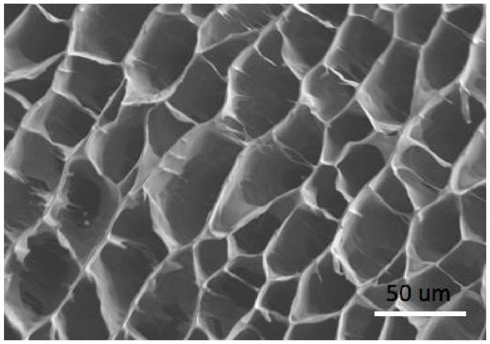 Preparation method, product and application of anti-radiation porous fiber with oriented hole structure