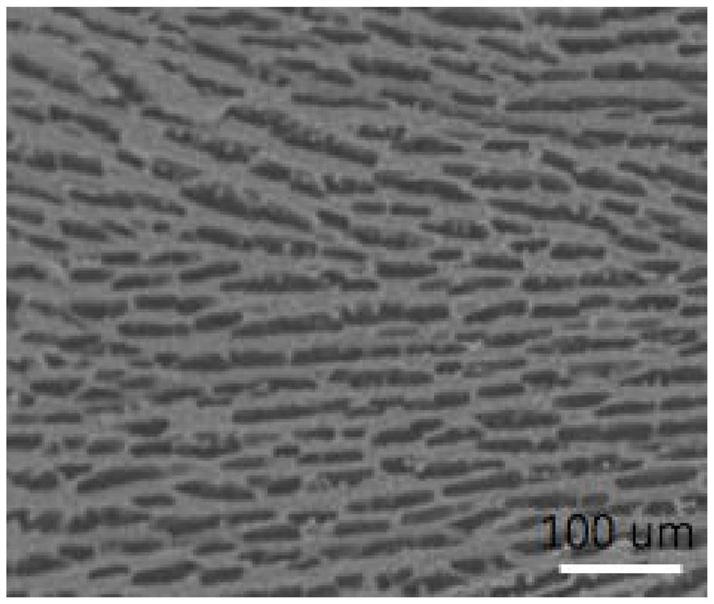 Preparation method, product and application of anti-radiation porous fiber with oriented hole structure